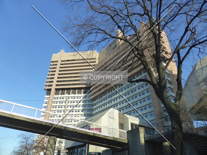 Photo 273-177-263