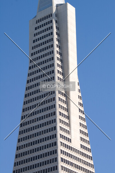 Photo 273-644-391