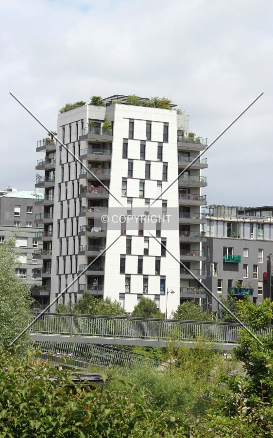 South view.