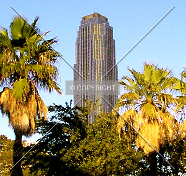 Photo 274-338-802
