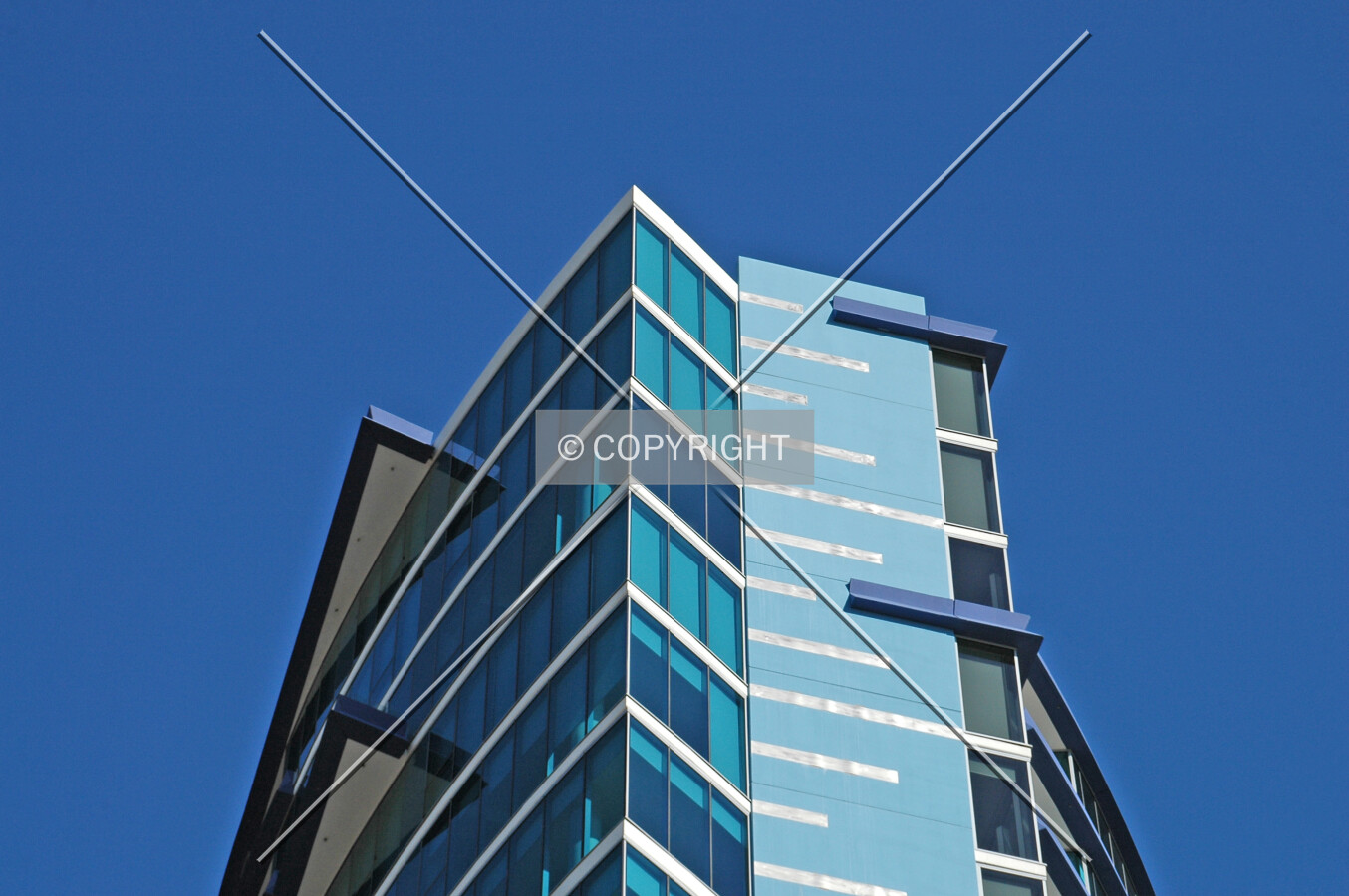 Photo 274-338-859