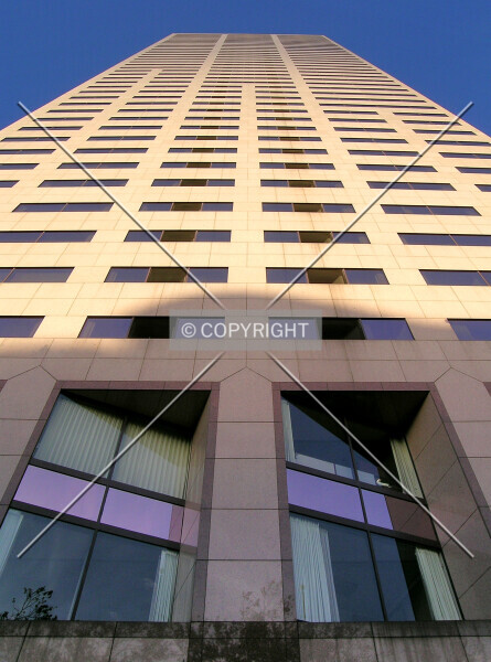 Photo 274-507-182