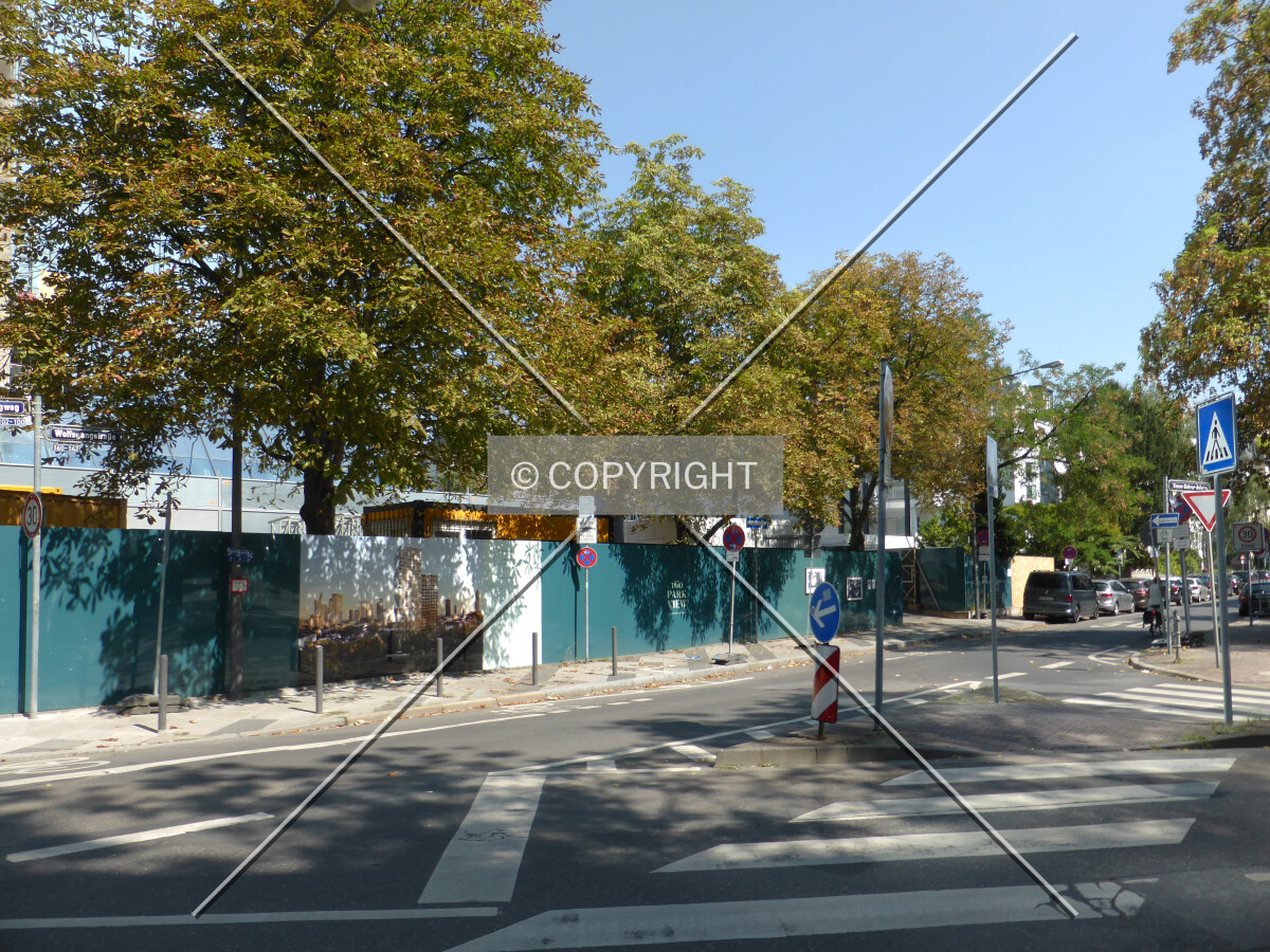 Photo 274-596-432