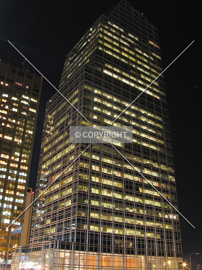 Looking up at night