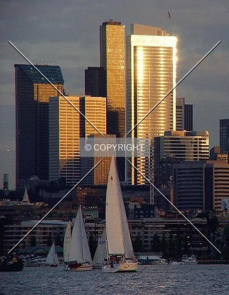 Photo 274-847-628