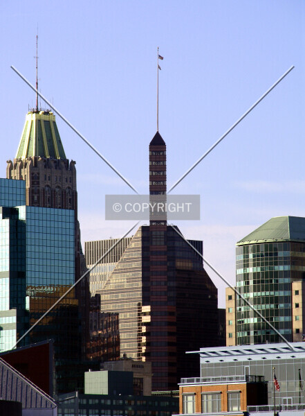 Photo 275-905-233