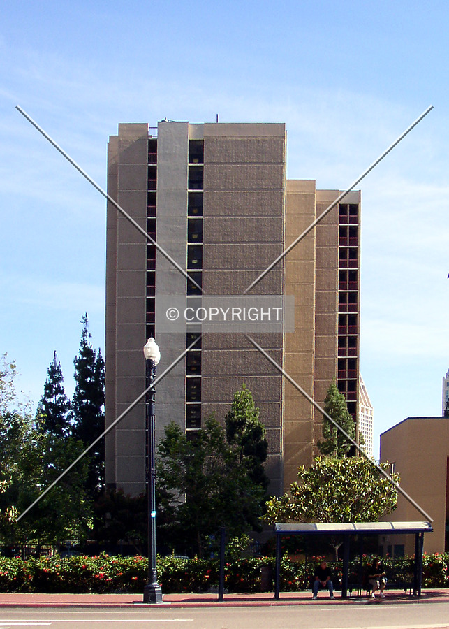 Profile from the north