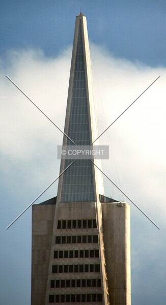 Photo 276-428-463