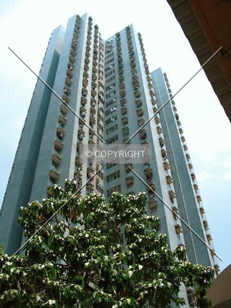 Photo 277-150-640