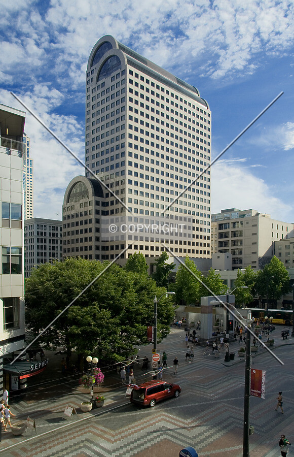View from the north