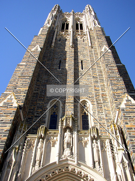 Photo 278-079-516