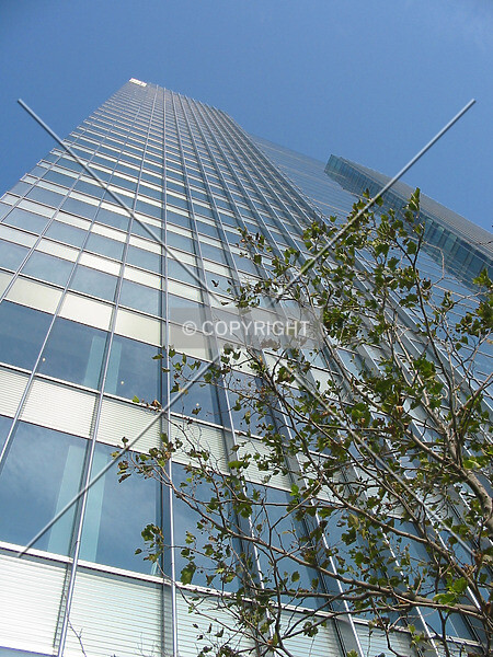 Photo 278-172-466