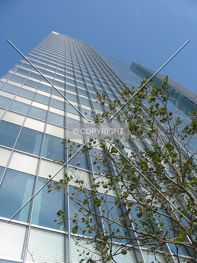 Looking up from the main entrance