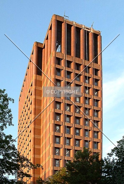 Photo 279-160-469