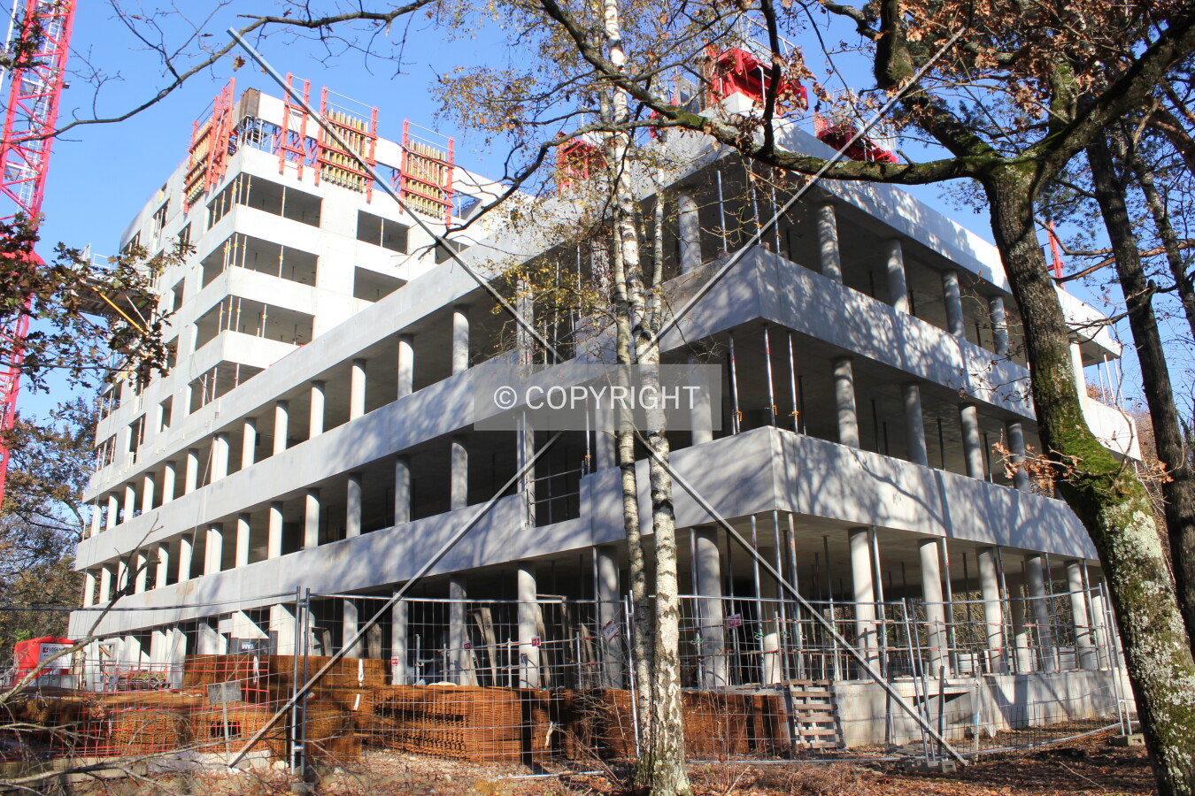 Photo 279-315-166
