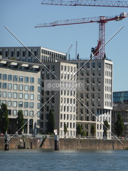 Photo 280-009-425
