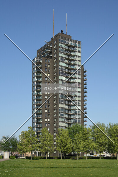 Photo 280-541-557