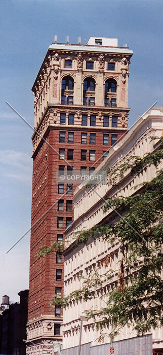 View from the east