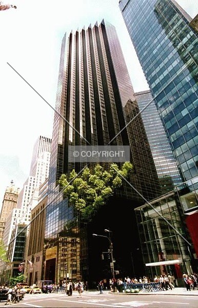Photo 281-277-276