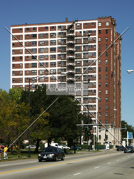 Photo 281-408-824