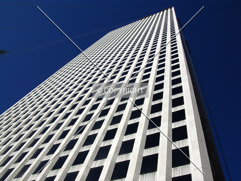 Photo 282-010-541