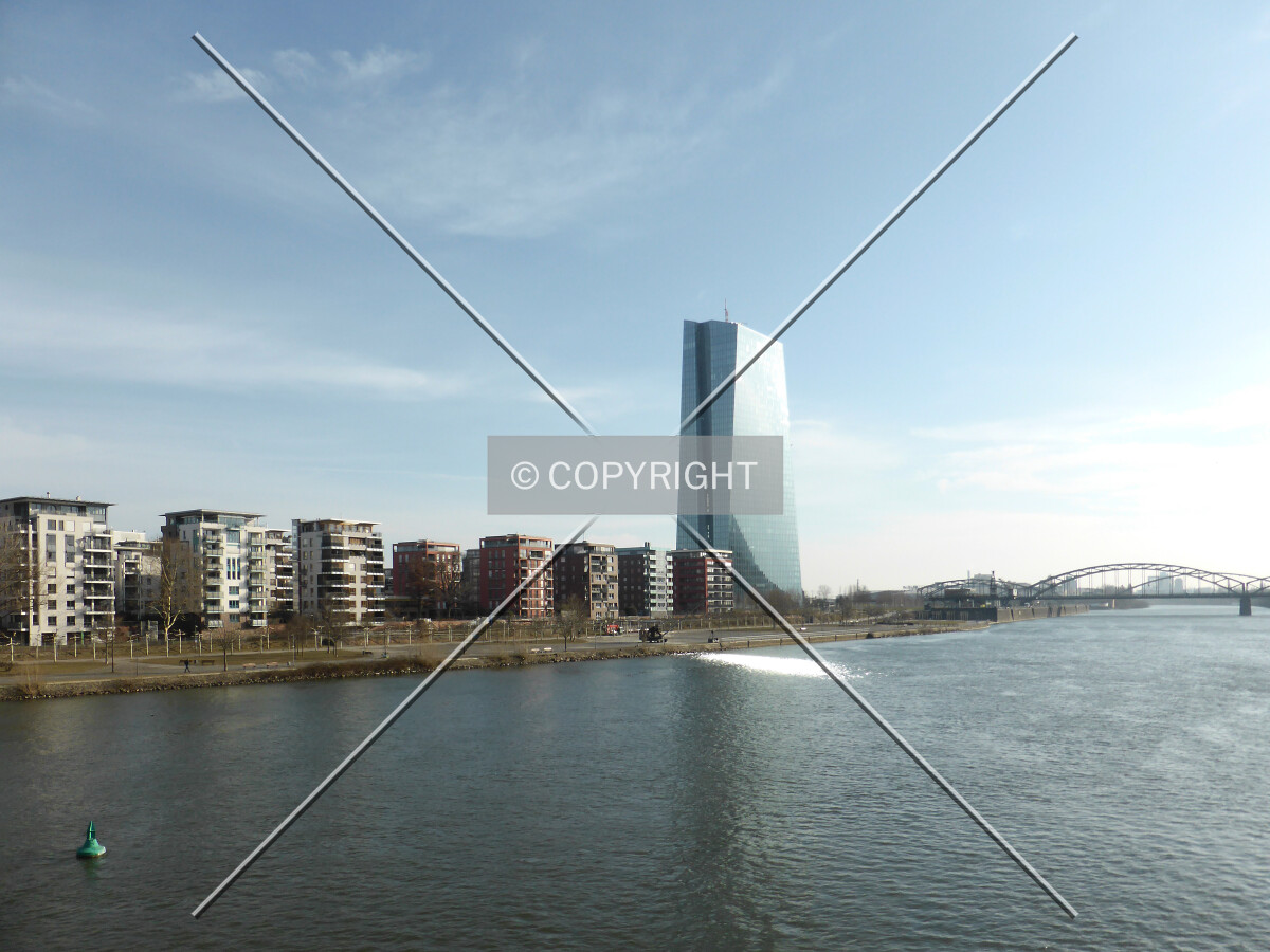 Photo 282-134-988