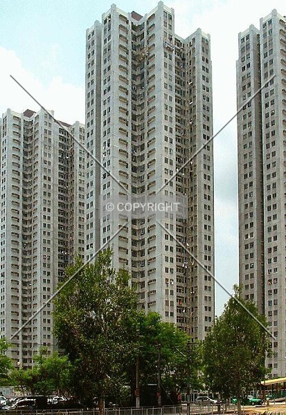 Photo 282-436-781
