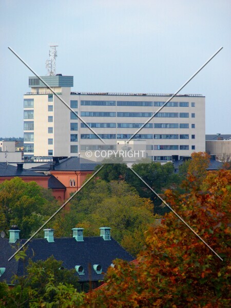 Photo 282-763-022