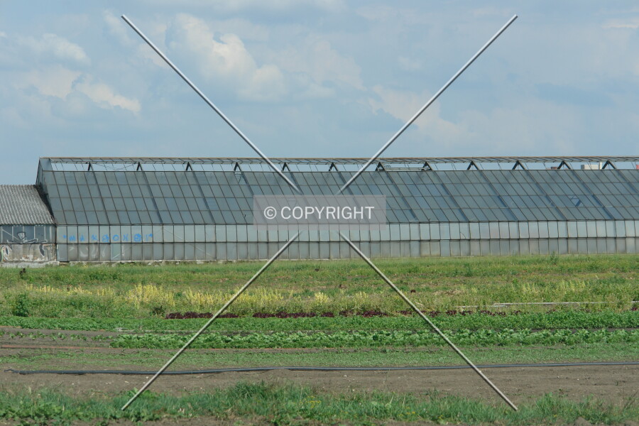Photo 283-219-498