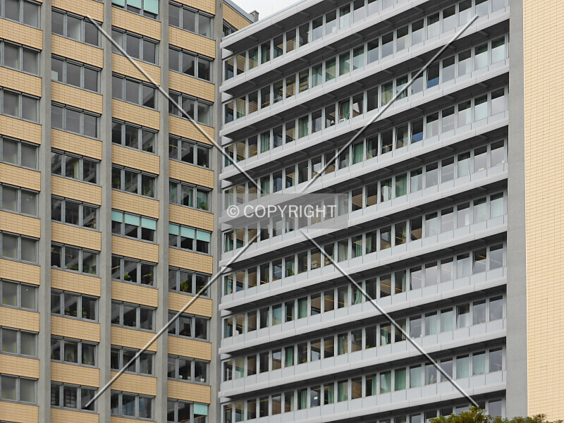 Photo 283-287-903