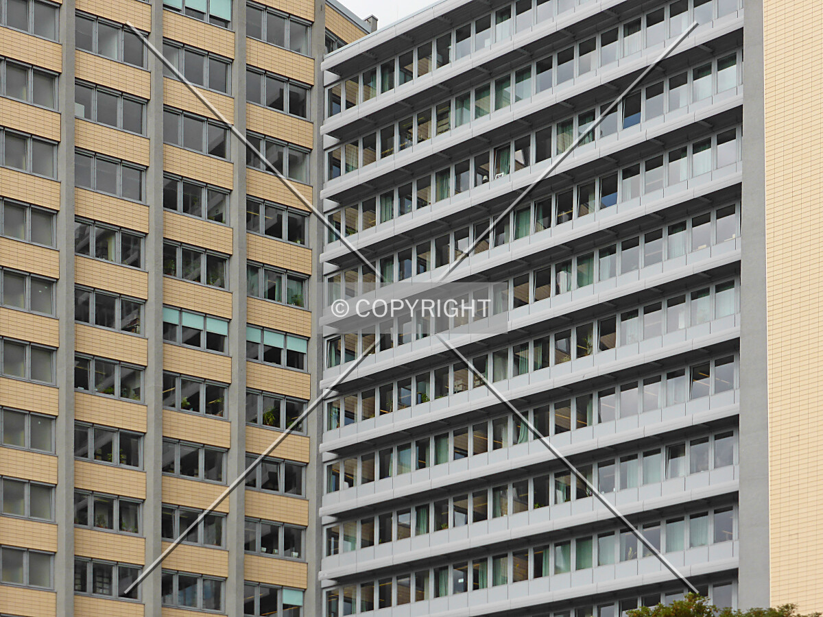 Photo 283-287-903