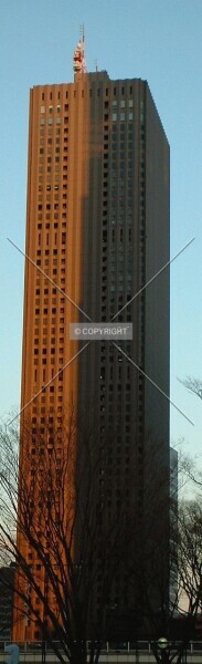 Photo 283-303-779