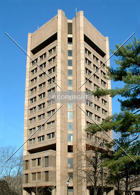 View from the south