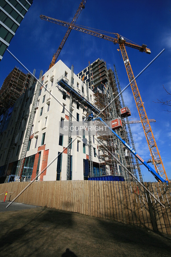 View from the south
