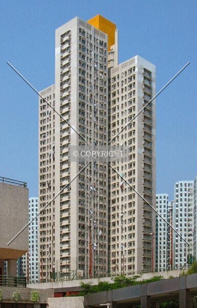 Photo 283-972-329