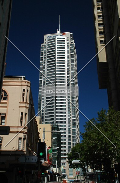 Photo 284-248-295