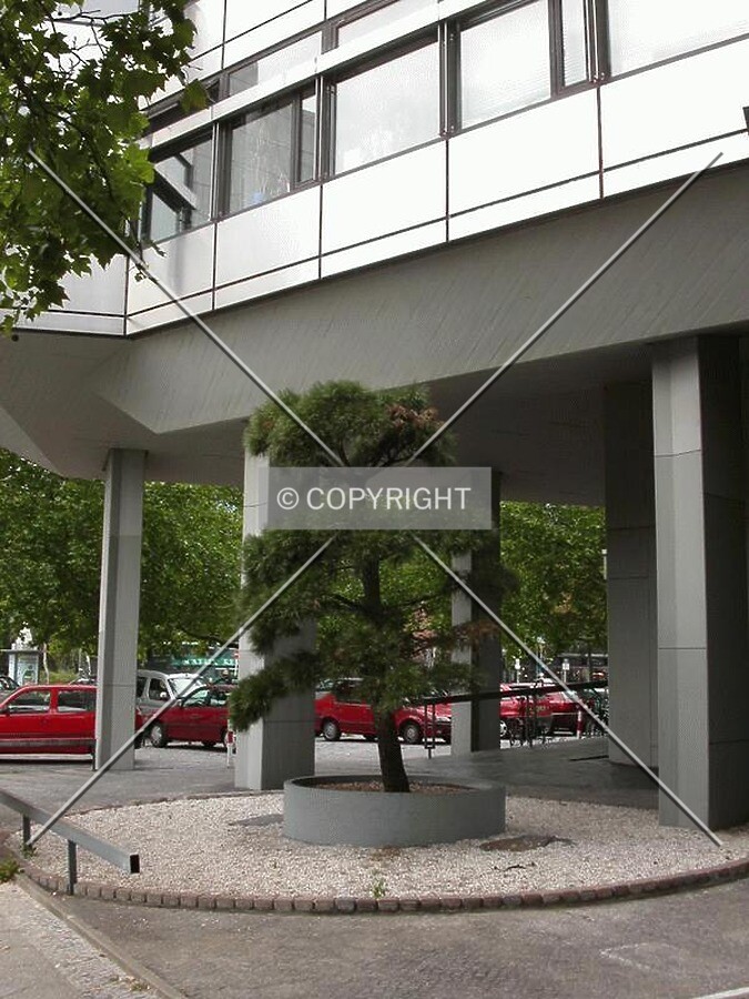 Street level of the building