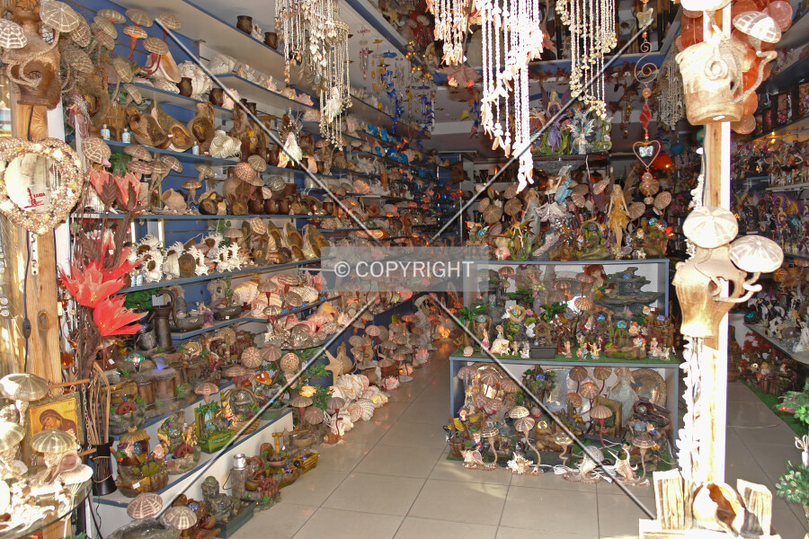 Photo 285-773-734