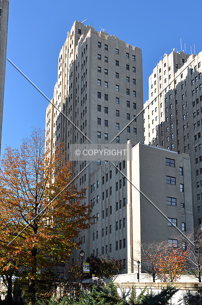 Photo 286-135-098