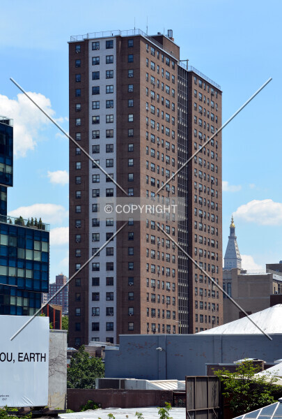 Photo 286-732-776