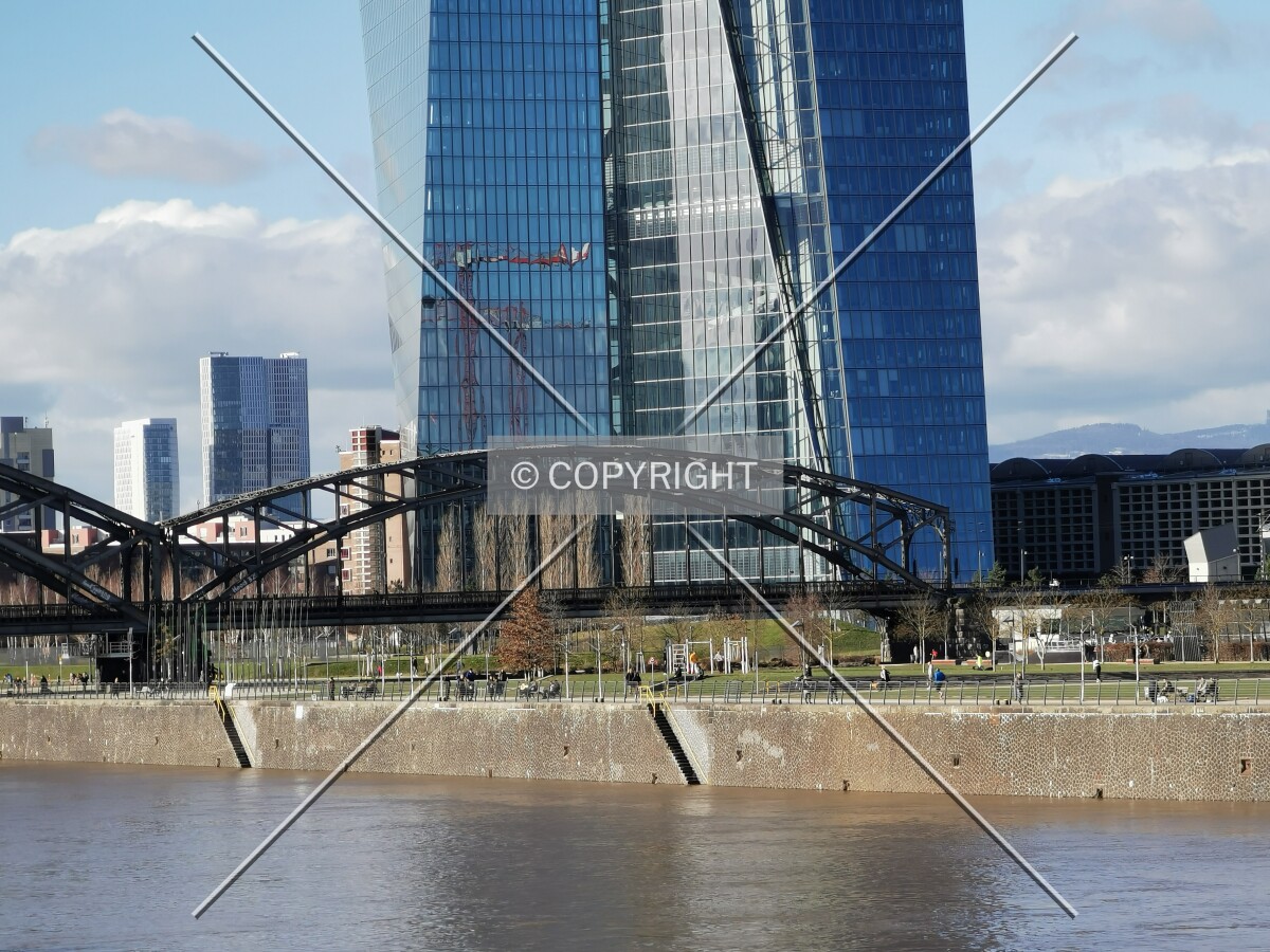 Photo 287-137-289