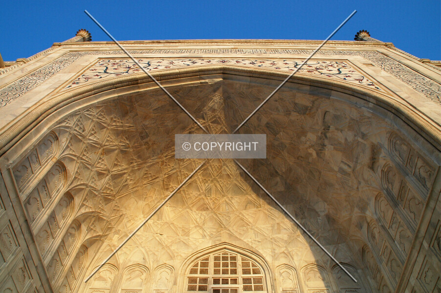 Photo 287-219-027