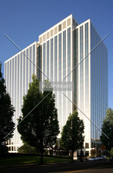 Photo 288-378-469
