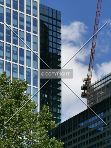 Photo 289-236-007