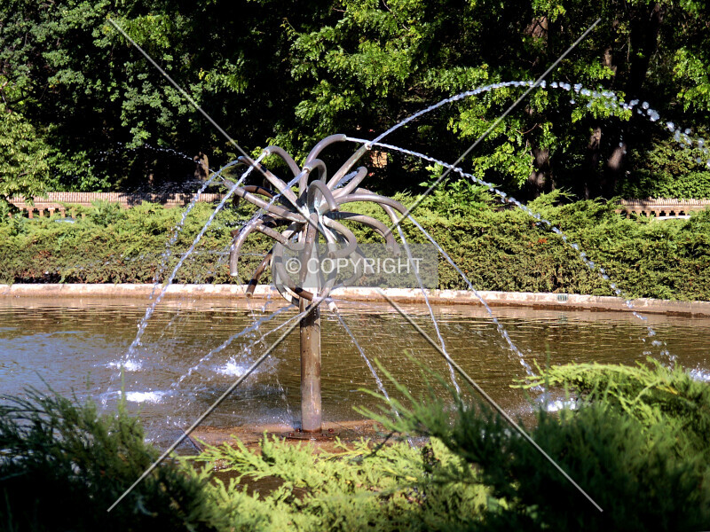 Photo 289-381-012
