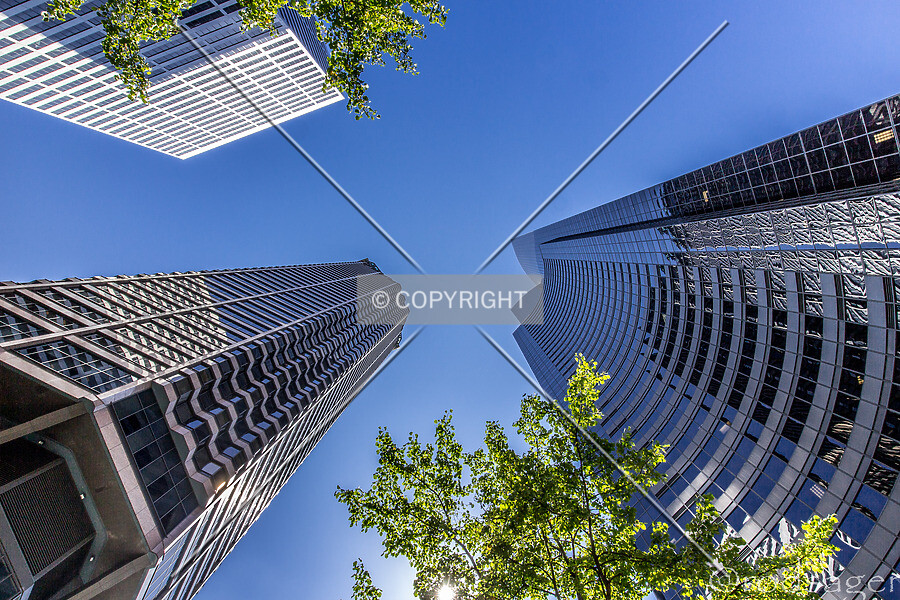 Photo 289-711-094
