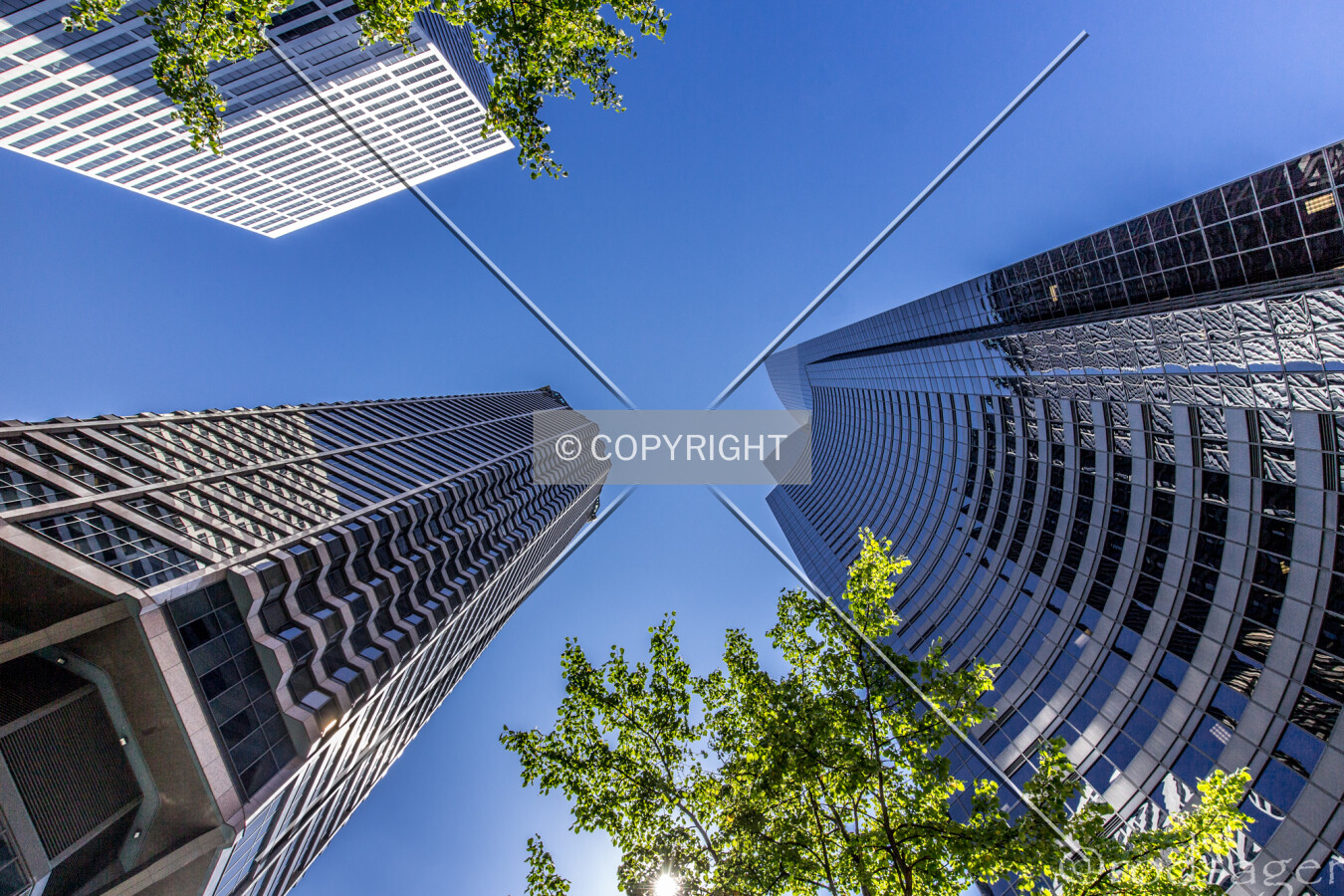 Photo 289-711-094