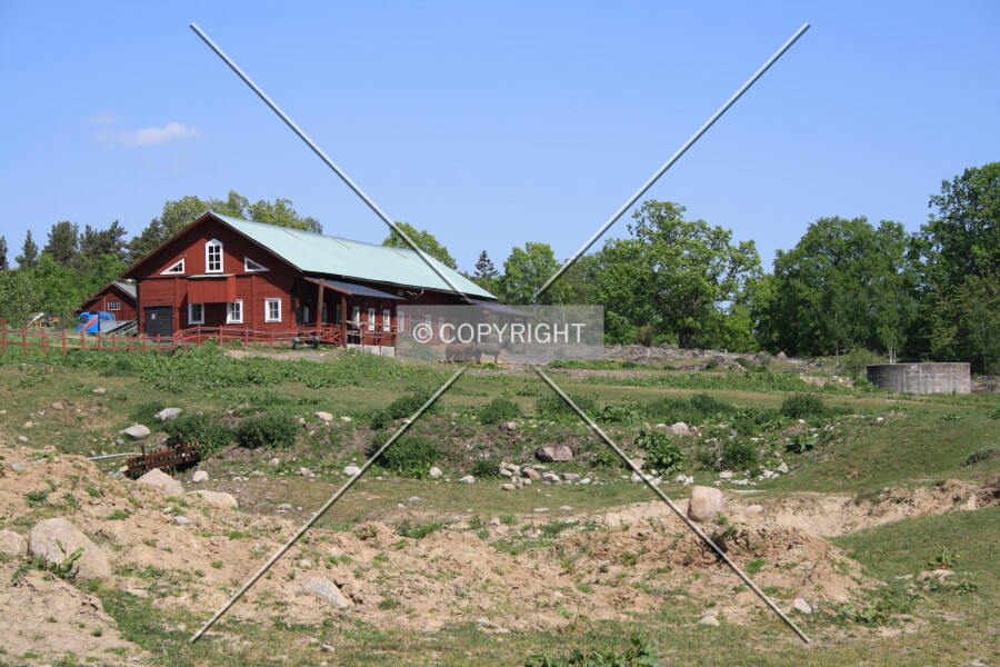 Photo 289-831-330