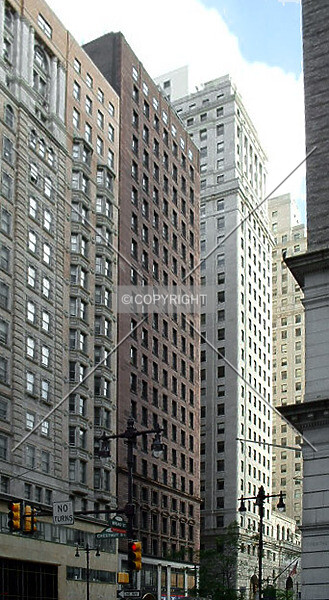 Photo 290-263-317