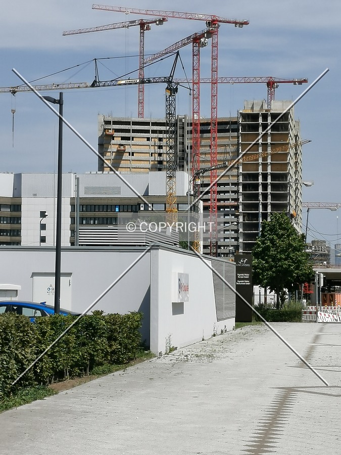 Photo 290-429-826